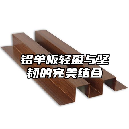 铝单板轻盈与坚韧的完美结合