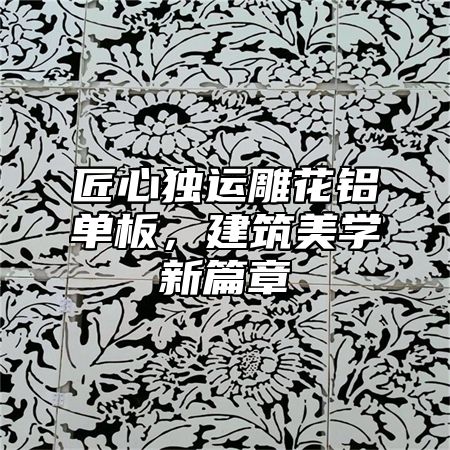 匠心独运雕花铝单板，建筑美学新篇章