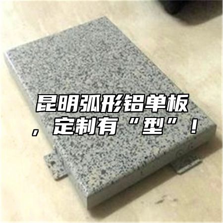 昆明弧形铝单板，定制有“型”！