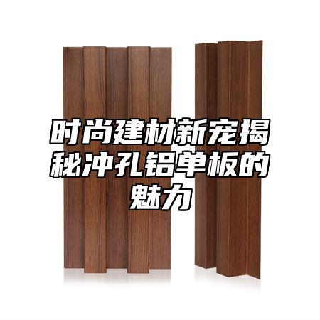 时尚建材新宠揭秘冲孔铝单板的魅力