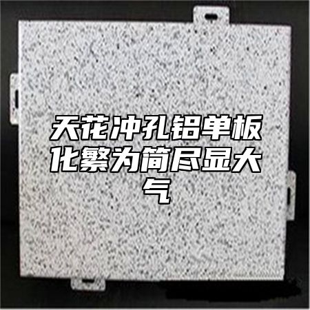 天花冲孔铝单板化繁为简尽显大气