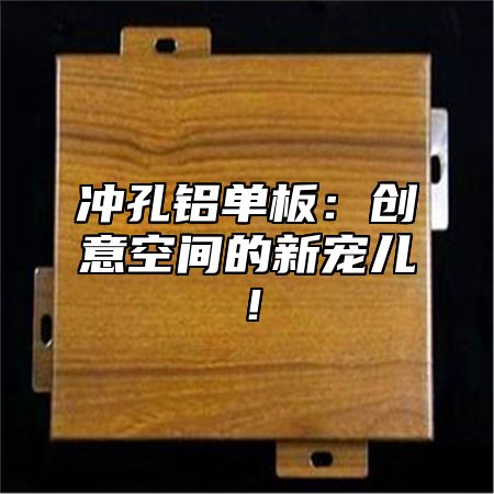 冲孔铝单板：创意空间的新宠儿！