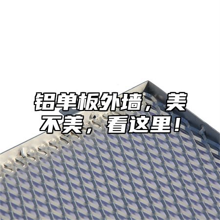铝单板外墙，美不美，看这里！