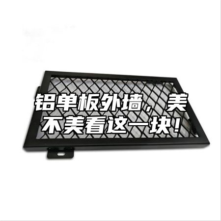 铝单板外墙，美不美看这一块！