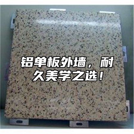 铝单板外墙，耐久美学之选！