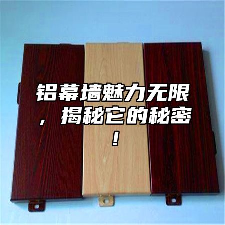 铝幕墙魅力无限，揭秘它的秘密！