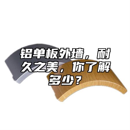 铝单板外墙，耐久之美，你了解多少？