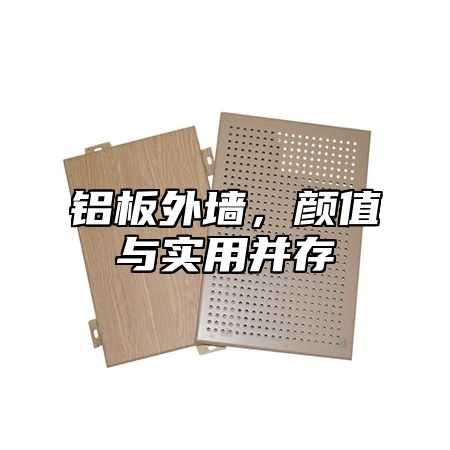铝板外墙，颜值与实用并存